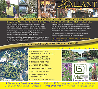 Peninsula Wine Country - Page 124